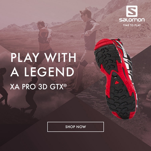 Chaussures Salomon Xa Pro 3d